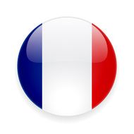 Round icon with flag of France