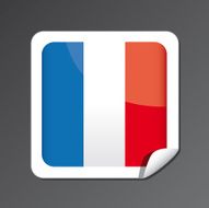 French flag button