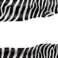 Zebra texture