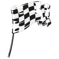 checkered flag racing N7