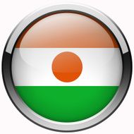 niger flag gel metal button