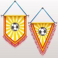 Football Pennants