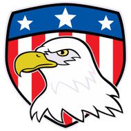 American Eagle With Shield Emblem