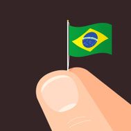 Brazilian Flag (vector and 300dpi jpg)