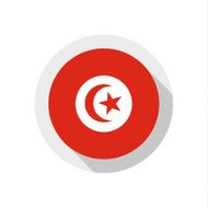 Flag of Tunisia N13
