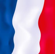 French Flag N30