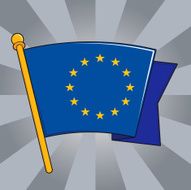 European Union Flag N28