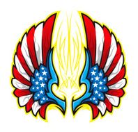 American Flag Wings