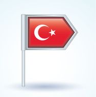 Flag of Turkey vector illustration N9
