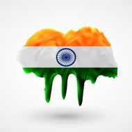 Flag of India painted colors