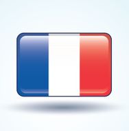 Flag of France vector illustration N9