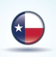 Flag of Texas vector illustration N7