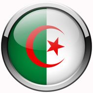 algeria flag gel metal button