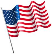 Waving American Flag N14