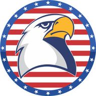 American Eagle N16