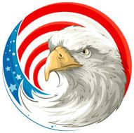 Bald Eagle N6