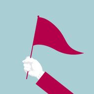 Hand holding flag N2