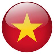 vietnam button