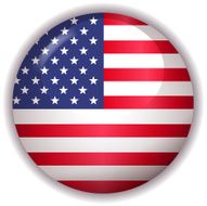 American flag button N3