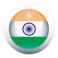 Indian flag button N2