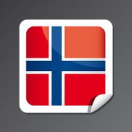 Norwegian flag button