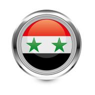 Syria Flag Icon N2