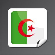 Algerian flag N2