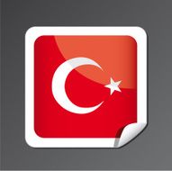 Turkey Flag Icon N3