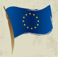European Union Flag N29