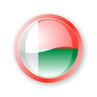 Madagascar Flag Icon