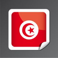 Tunisia Flag icon N4