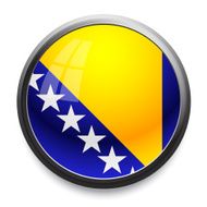Bosnia and Herzegovina - flag icon