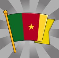 Flag of Cameroon N13