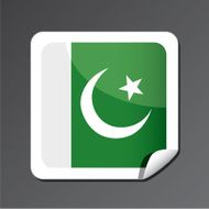 Pakistan flag icon N2