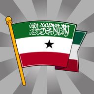 Flag of Somaliland N10