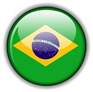 Brazilian flag button N2