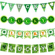 St Patrick&#039;s Party Bunting