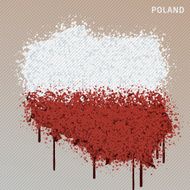 Poland Flag Color Paint Graffiti Map Grunge