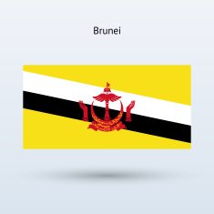 Brunei flag N7