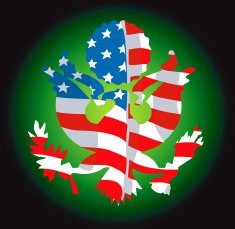 American flag and map vector