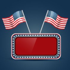 American Flag Vector N8