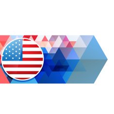 4th of july vector N2