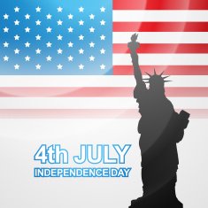 American Flag Vector N13