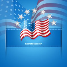 American Flag Vector N19