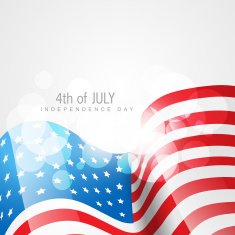 American Flag Vector N23