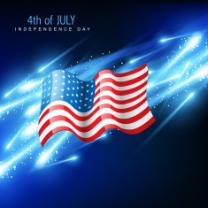 American Flag Vector N25