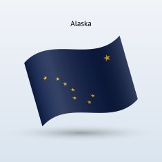 State of Alaska Flag N2