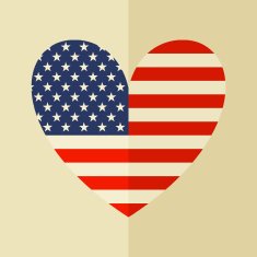 American Flag Icon N4