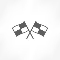 Racing Flag Icon N13