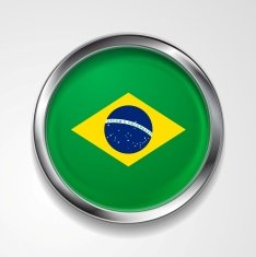 Abstract button with stylish metallic frame Brazilian flag